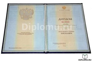 купить диплом пгс 2004-2009