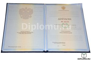 купить диплом пгс 2010-2011